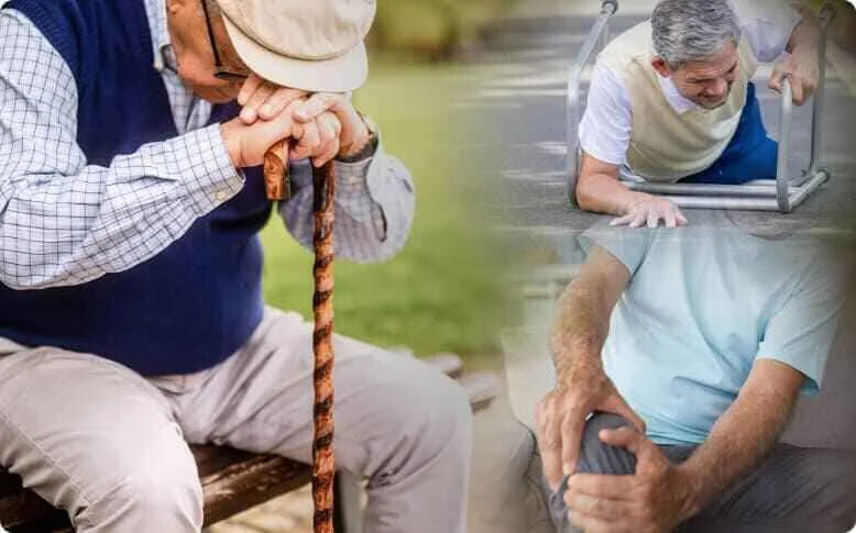 Senior safety statistics